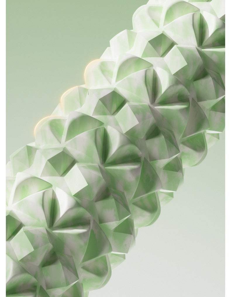 Wellfitaura Foam Roller