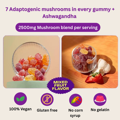 WellFitAura™ Mushroom Gummies